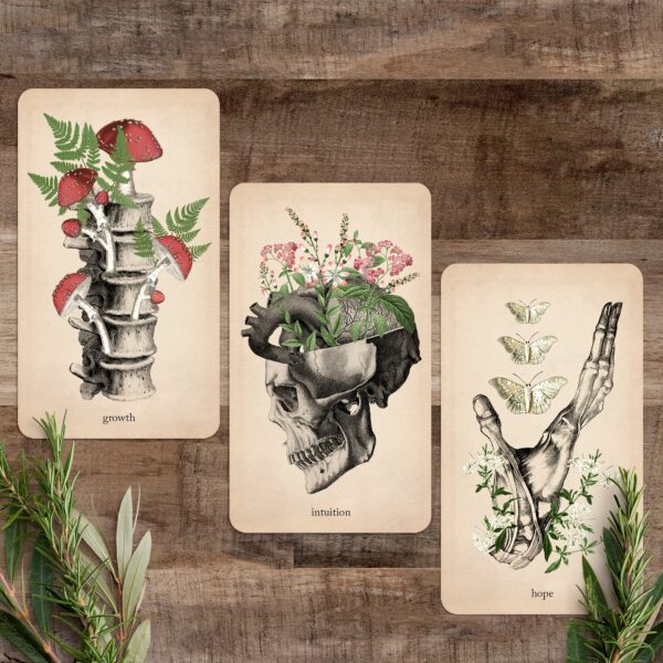 Oracle of Oddities