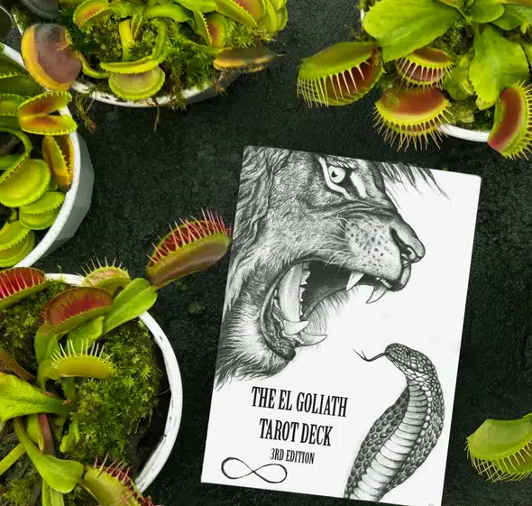 The El Goliath Tarot - 3rd Edition
