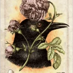Old Style Oracle