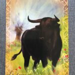 L'Oracle du peuple animal