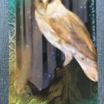 L'Oracle du peuple animal