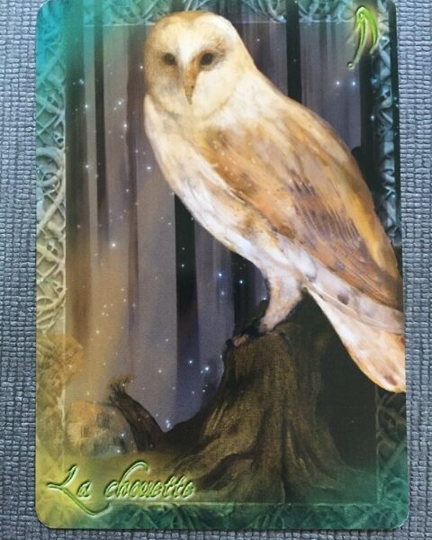 L'Oracle du peuple animal