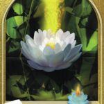 L'Oracle du peuple végétal
