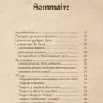 Le tarot arthurien