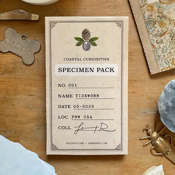 Coastal Curiosities Oracle - Naturalist Edition