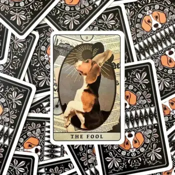 Tarot of Beagle Dogs 2