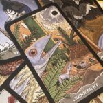 Arcana Saurus