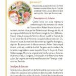 Le Tarot des symboles bibliques