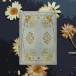 The Enchanted Divination Collection