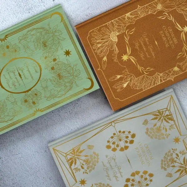 The Enchanted Divination Collection