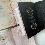 The Enchanted Divination Collection