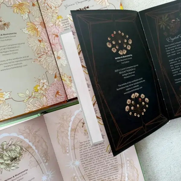 The Enchanted Divination Collection