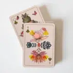 The Enchanted Divination Collection