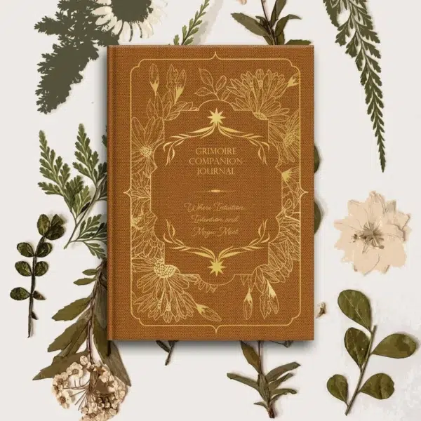 The Enchanted Divination Collection