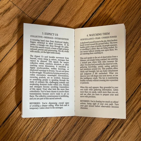 Invisible Order Oracle: Watching Them, Watching Us