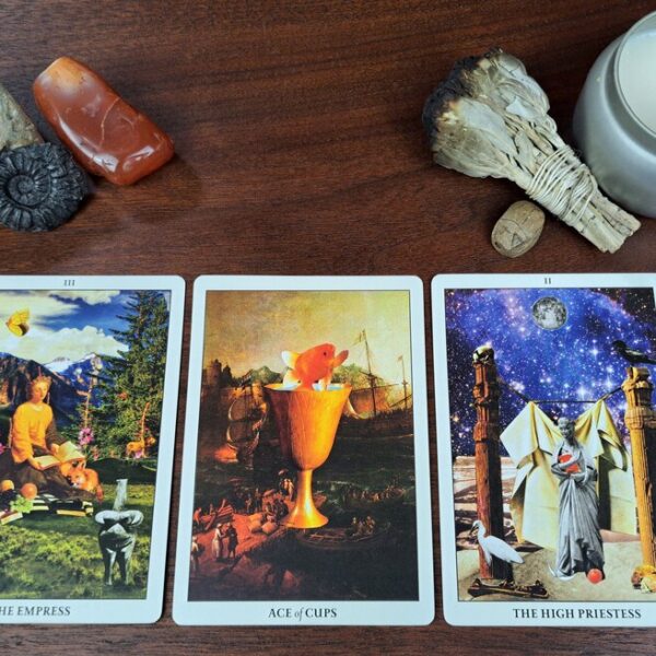 The Scarab & Dahlia Tarot