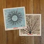 System Oracle: Forecast and Enlighten