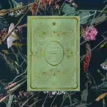 The Enchanted Divination Collection