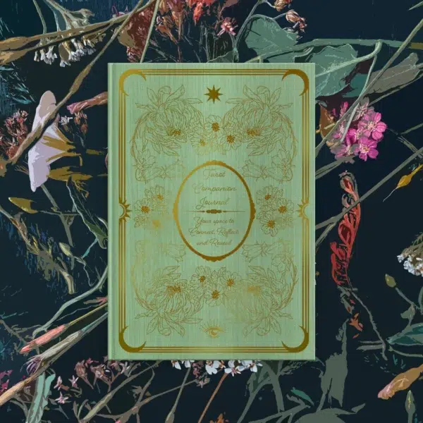 The Enchanted Divination Collection