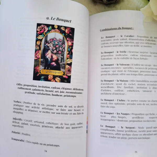 Les Combinaisons du Petit Lenormand (eBook)