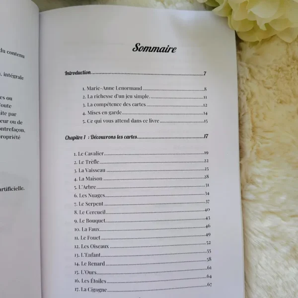 Les Secrets du Petit Lenormand (eBook)