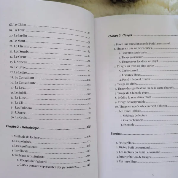 Les Secrets du Petit Lenormand (eBook)